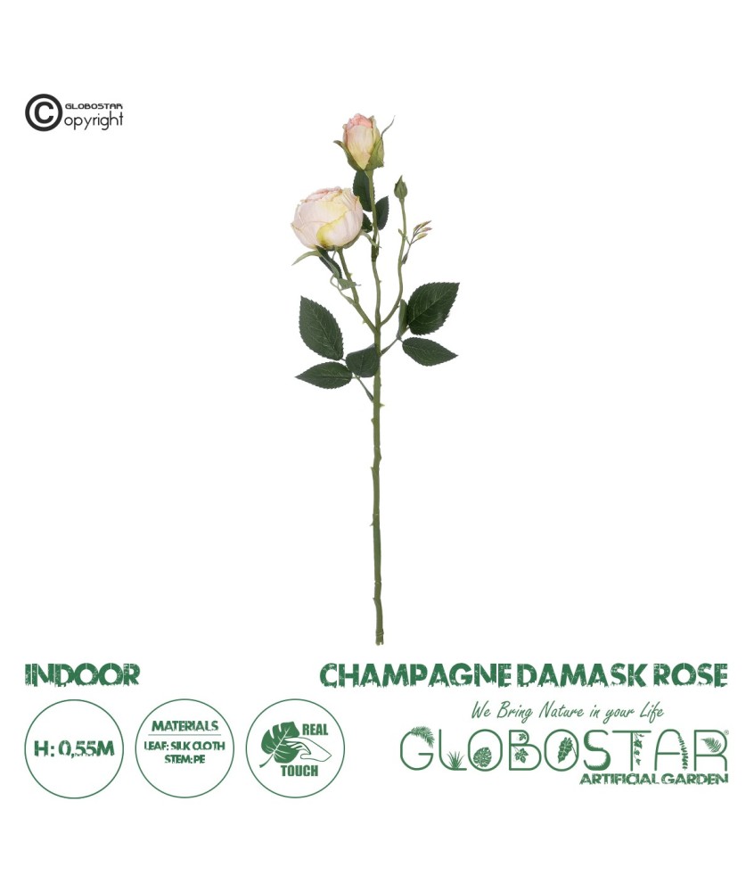 GloboStar® Artificial Garden CHAMPAGNE DAMASK CLIMBING ROSE BRANCH 21198 Τεχνητό Διακοσμητικό Κλαδί Τριαντάφυλλο Σαμπανιζέ Y55cm